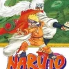 NARUTO N.11