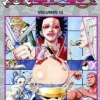 ONE PIECE N.13