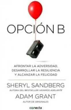 OPCION B