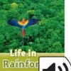 OXFORD READ AND DISCOVER 3: LIFE IN RAINFORESTS W / AUDIO CD