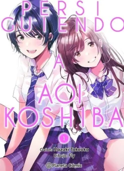 PERSIGUIENDO A AOI KOSHIBA Nº 01 / 04