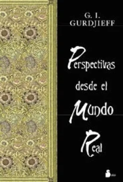 PERSPECTIVAS DESDE EL MUNDO REAL