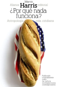 ¿POR QUÉ NADA FUNCIONA?