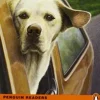 PR 2: MARLEY AND ME BOOK W / AUDIO CD MP3 (BINACIONAL)