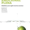 PRACTICA EN LA INTELIGENCIA EMOCIONAL PLENA