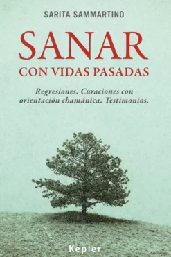 SANAR CON VIDAS PASADAS