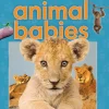 SCHOLASTIC DISCOVER MORE: ANIMAL BABIES