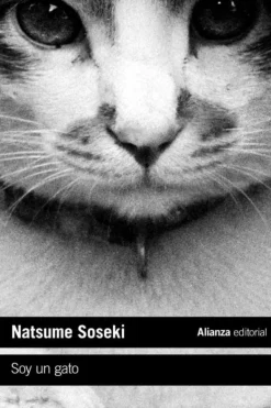 SOY UN GATO