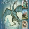 TAROT DE LOS DRAGONES, EL