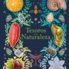 TESOROS DE LA NATURALEZA