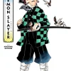 THE ART OF DEMON SLAYER: KIMETSU NO YAIBA