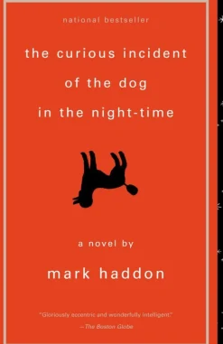 THE CURIOUS INCIDENT OF THE DOG IN THE NIGHT - TIME