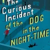 THE CURIOUS INCIDENT OF THE DOG IN THE NIGHT-TIME