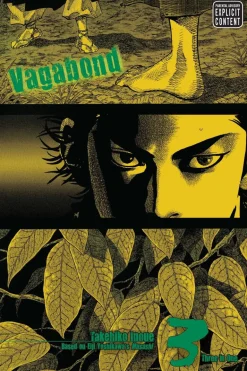 VAGABOND (VIZBIG EDITION), VOL. 3